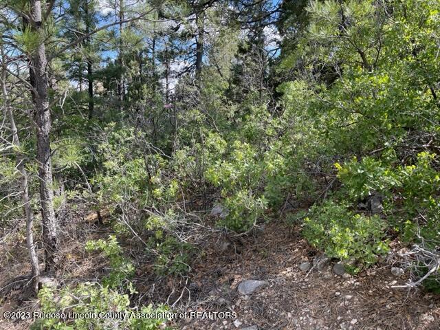 26 Various Lots, Timberon, New Mexico image 6