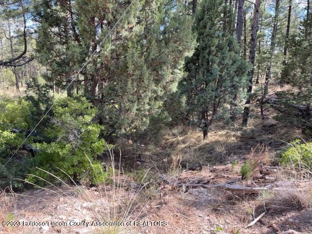 26 Various Lots, Timberon, New Mexico image 11