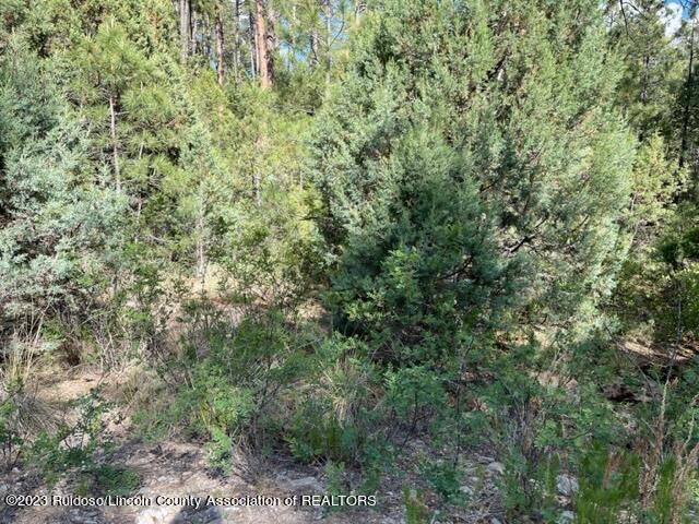 26 Various Lots, Timberon, New Mexico image 16