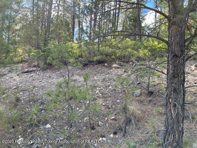 26 Various Lots, Timberon, New Mexico image 15