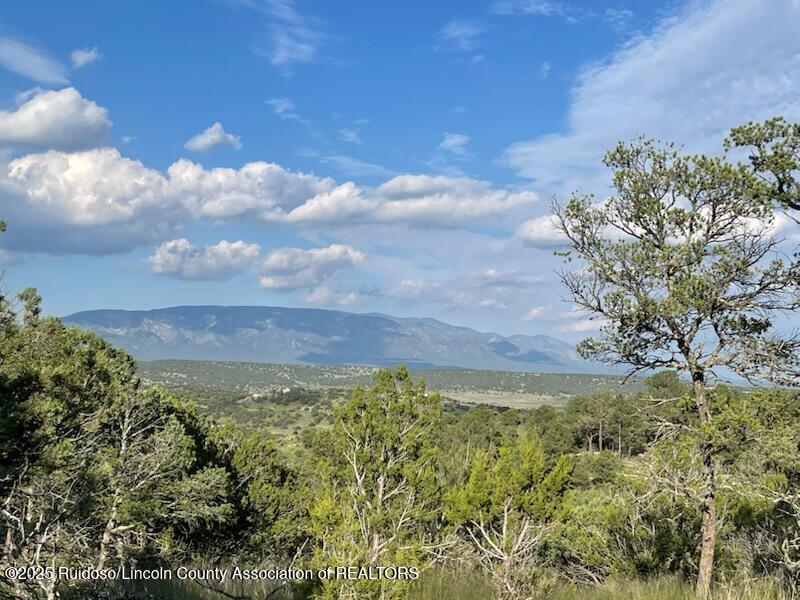 108-110 Lynx Road, Capitan, New Mexico image 49