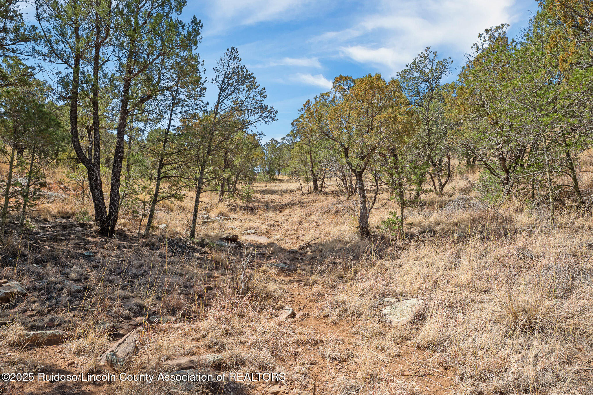 108-110 Lynx Road, Capitan, New Mexico image 10