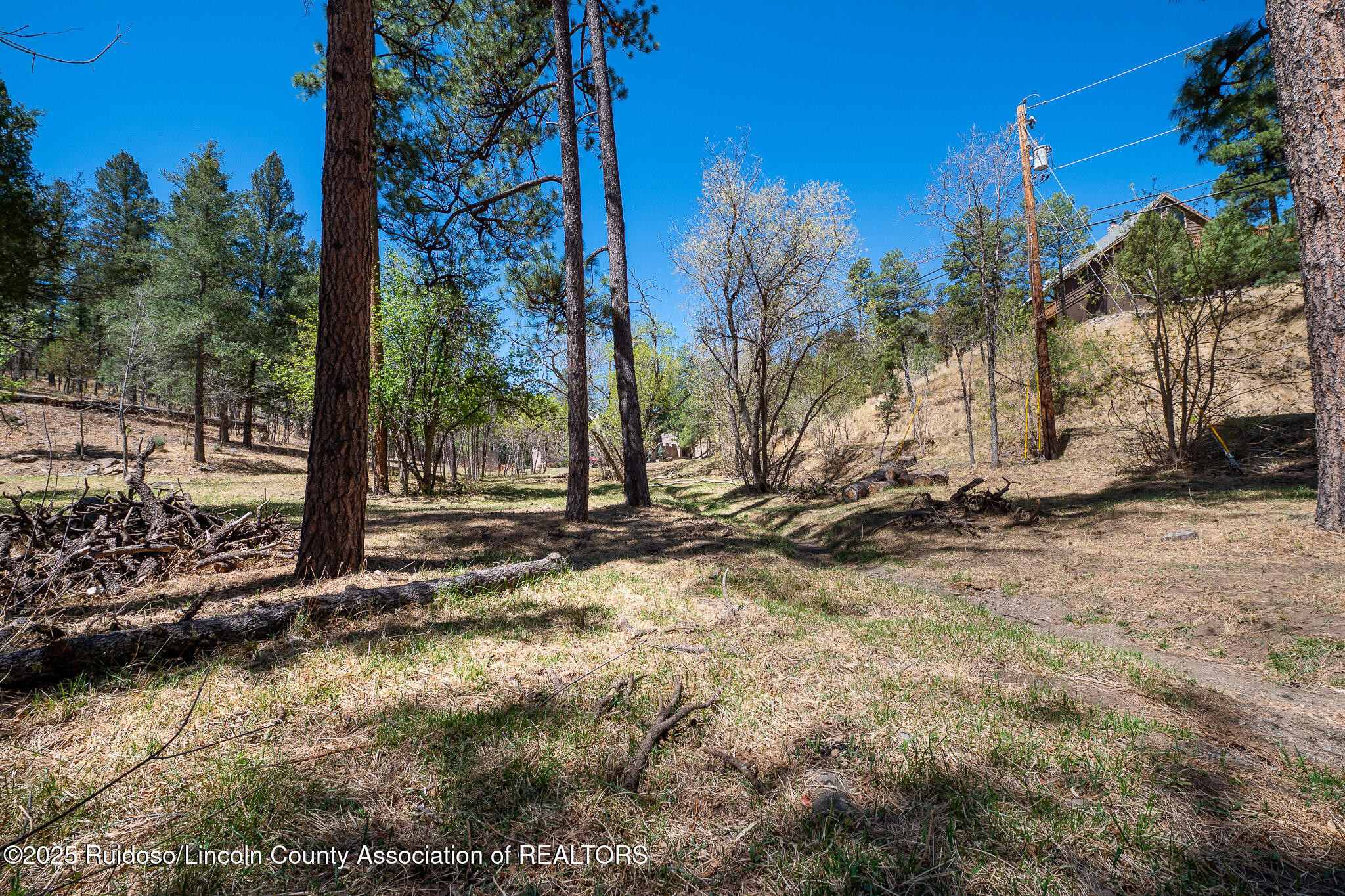 205/209 Flume Canyon Drive, Ruidoso, New Mexico image 7