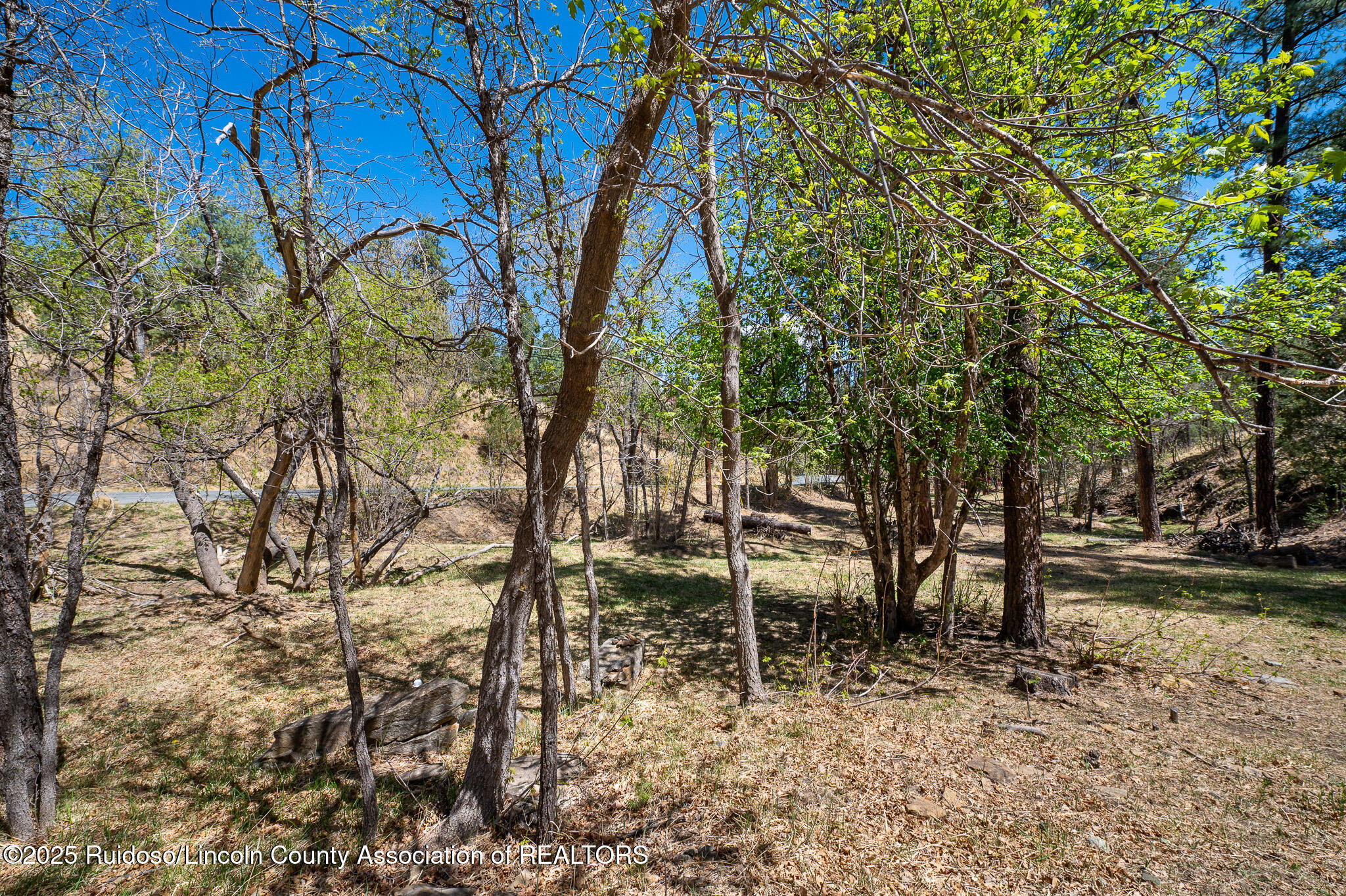 205/209 Flume Canyon Drive, Ruidoso, New Mexico image 3