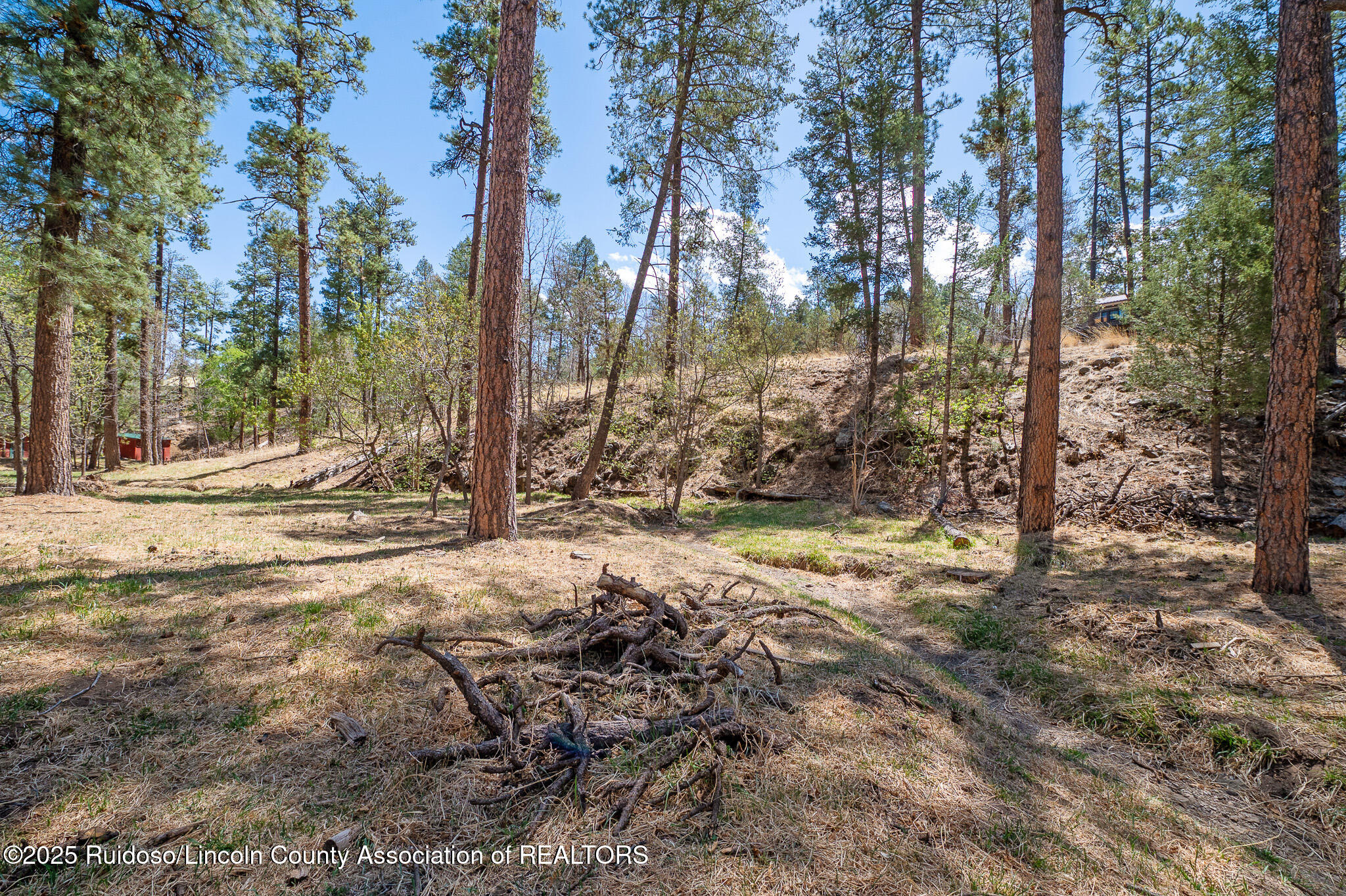 205/209 Flume Canyon Drive, Ruidoso, New Mexico image 6