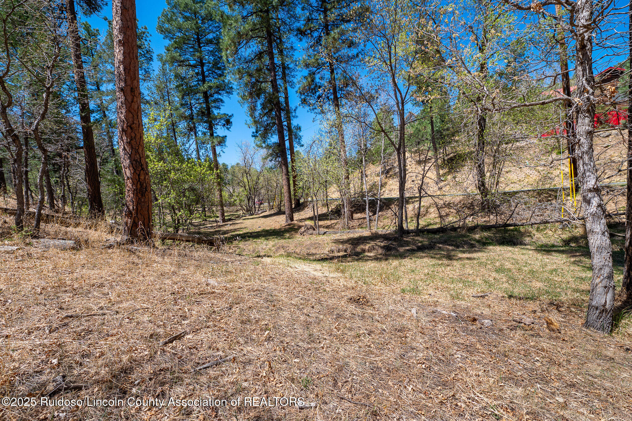 205/209 Flume Canyon Drive, Ruidoso, New Mexico image 16