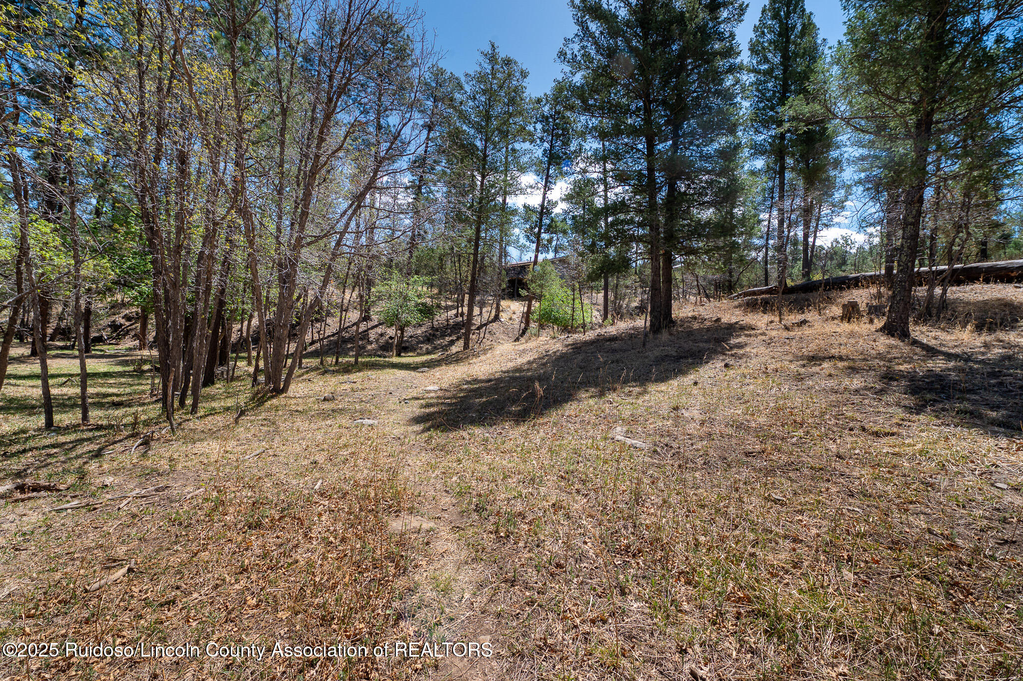 205/209 Flume Canyon Drive, Ruidoso, New Mexico image 2
