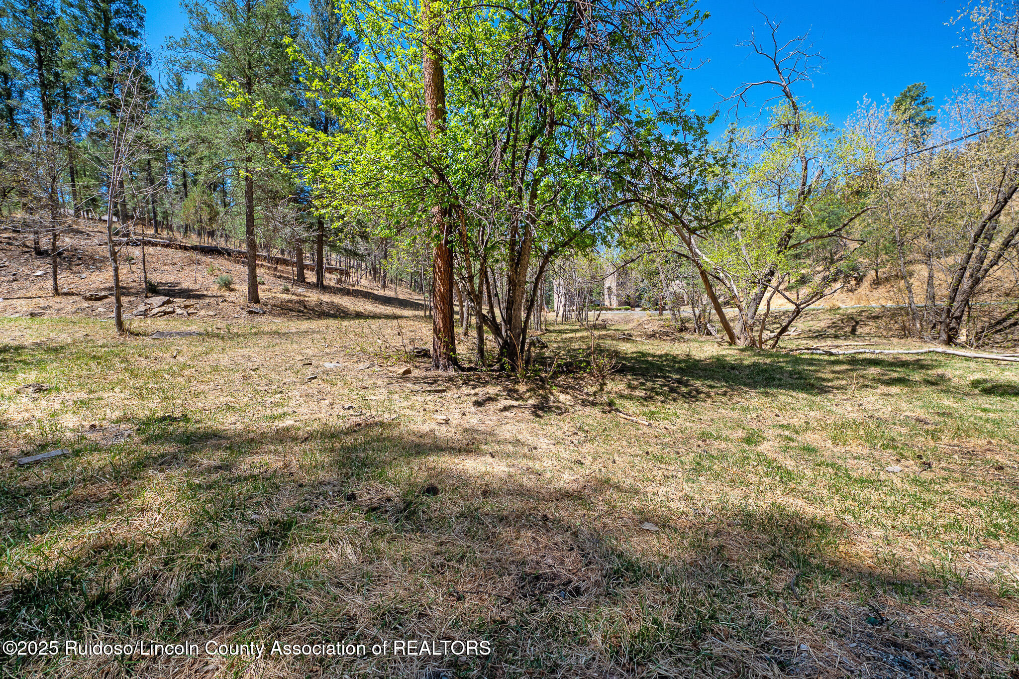 205/209 Flume Canyon Drive, Ruidoso, New Mexico image 5