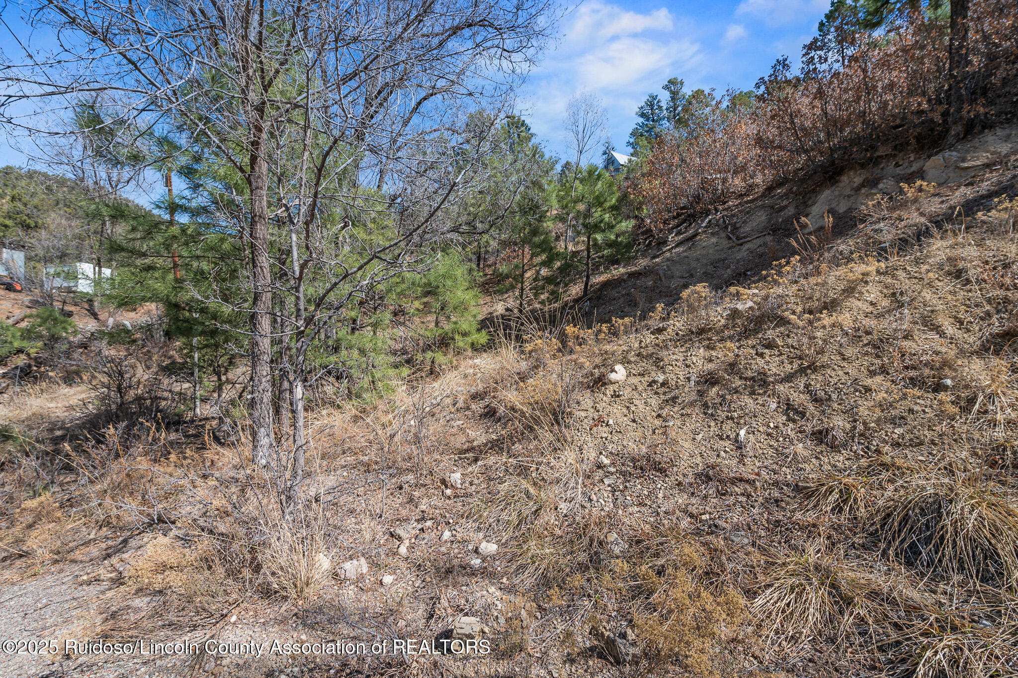 L15 Debord Street, Ruidoso, New Mexico image 4