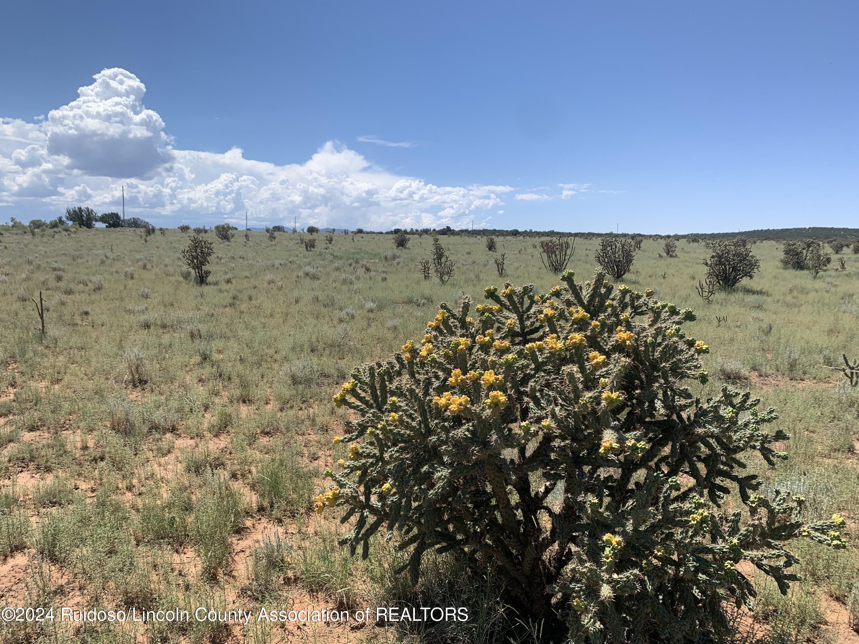 274 Rocking Bar Lane, Ancho, New Mexico image 10