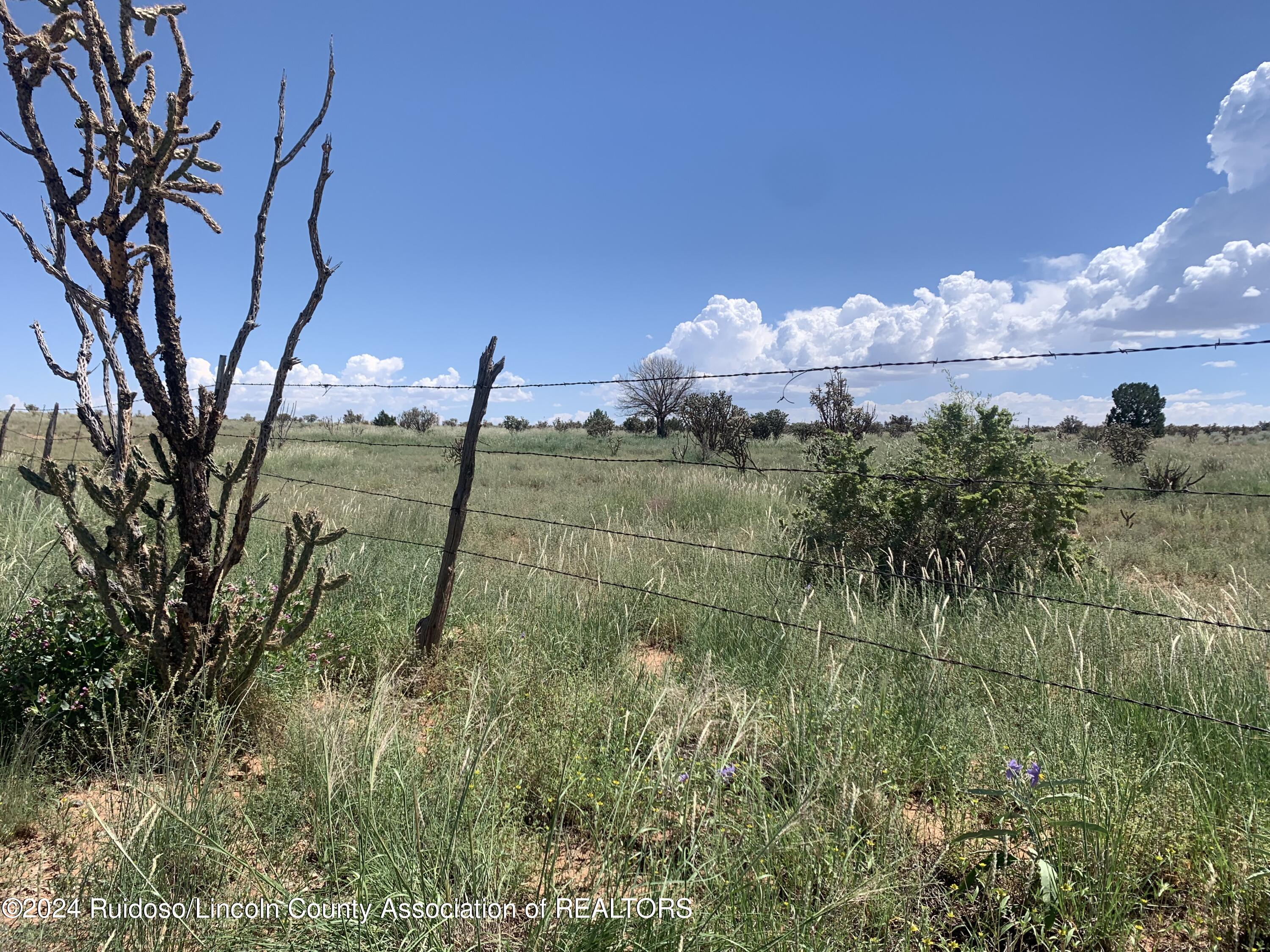 274 Rocking Bar Lane, Ancho, New Mexico image 4