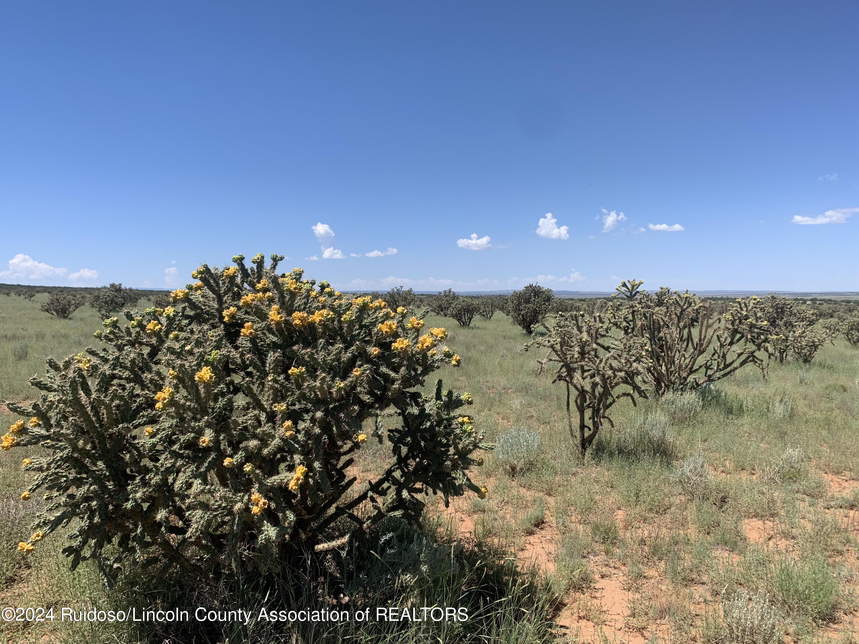 274 Rocking Bar Lane, Ancho, New Mexico image 9