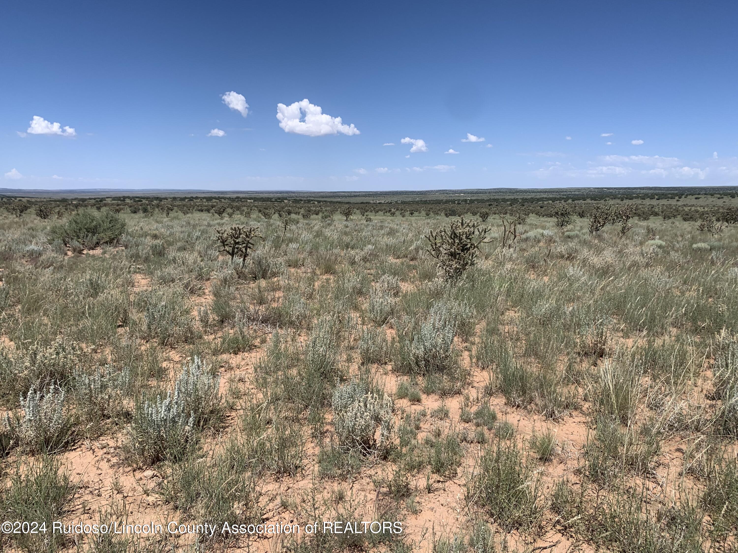 274 Rocking Bar Lane, Ancho, New Mexico image 6