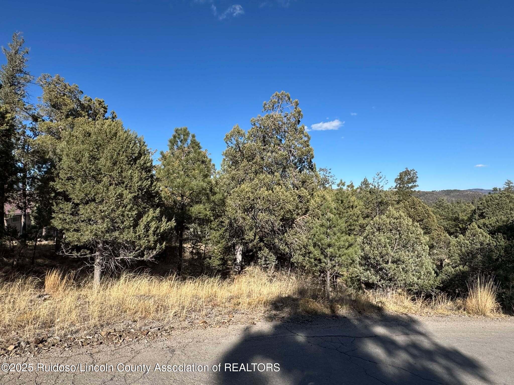108 Oak Grove Place, Ruidoso, New Mexico image 2