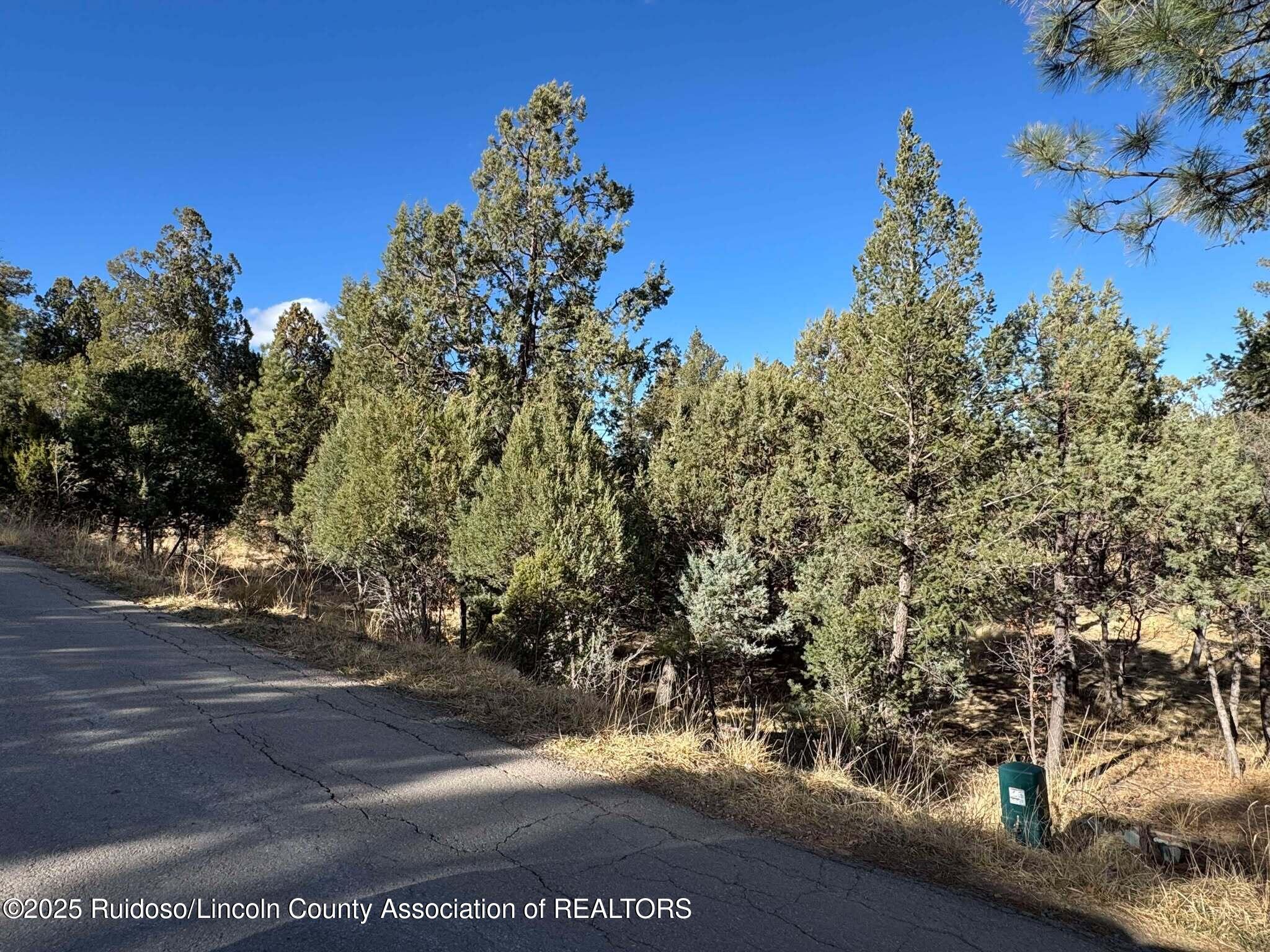 108 Oak Grove Place, Ruidoso, New Mexico image 4