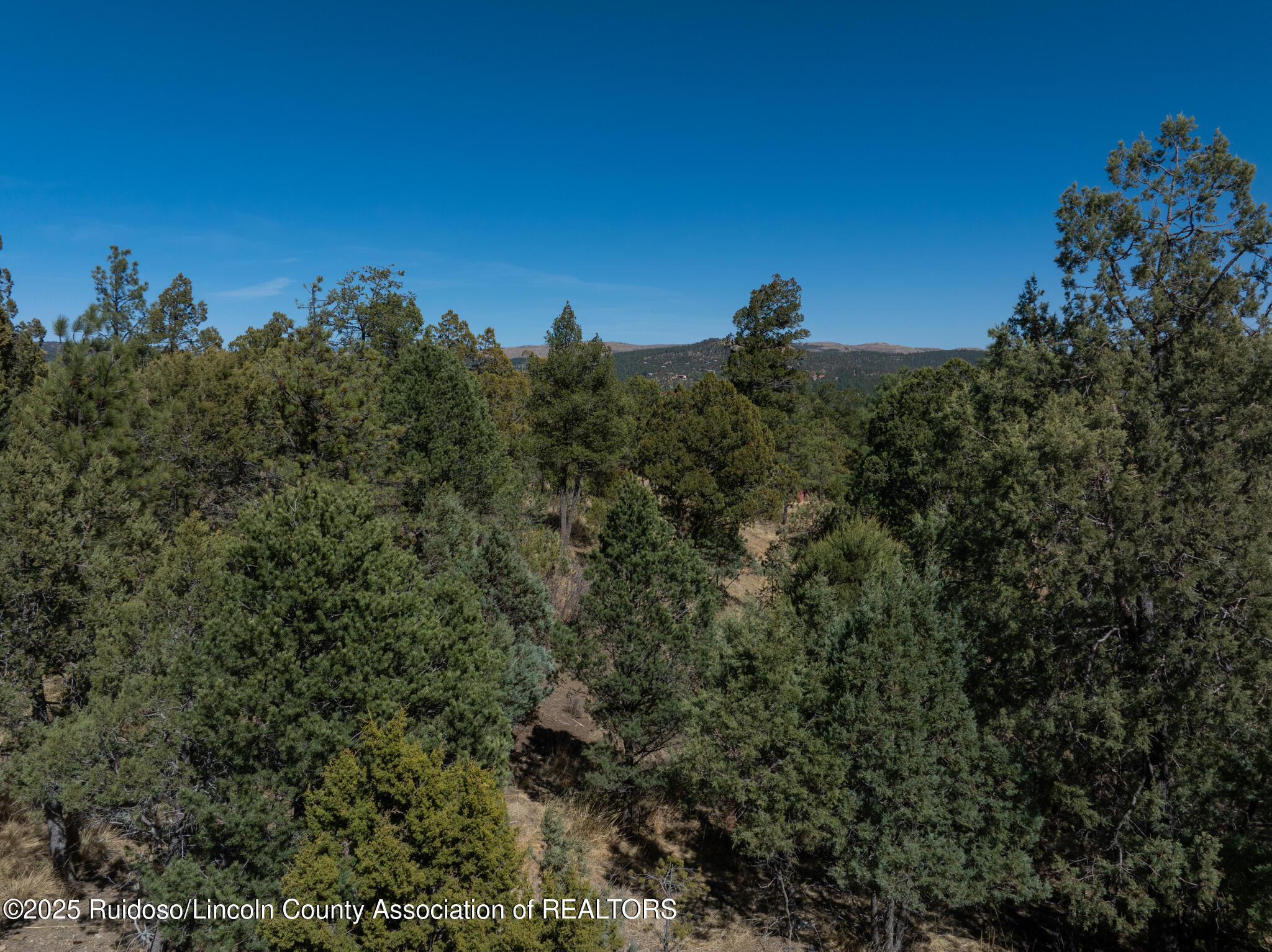 108 Oak Grove Place, Ruidoso, New Mexico image 10
