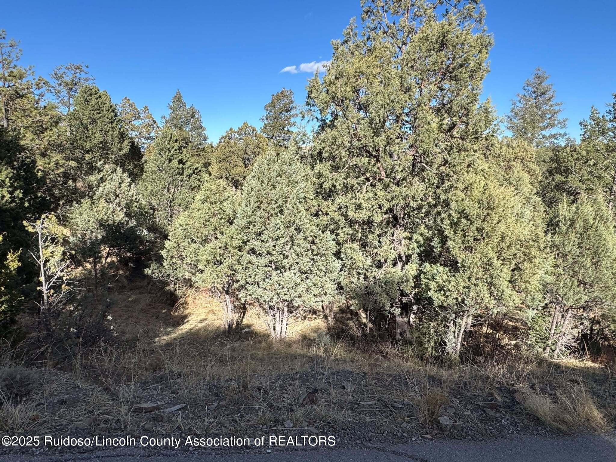 108 Oak Grove Place, Ruidoso, New Mexico image 3