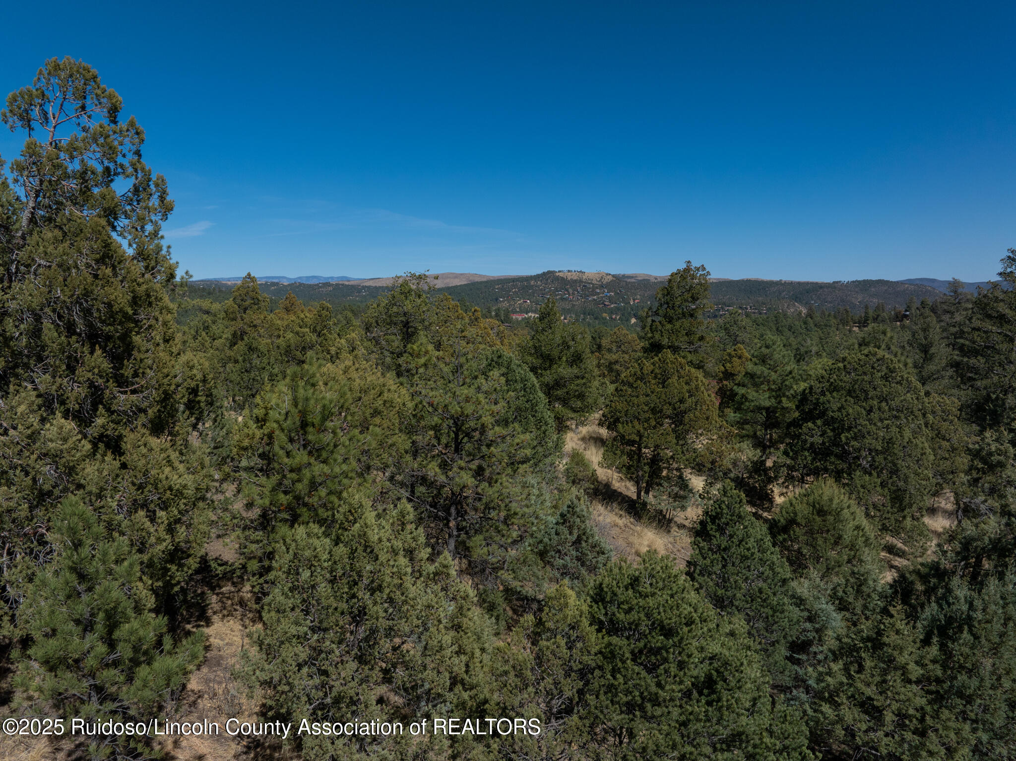 108 Oak Grove Place, Ruidoso, New Mexico image 11