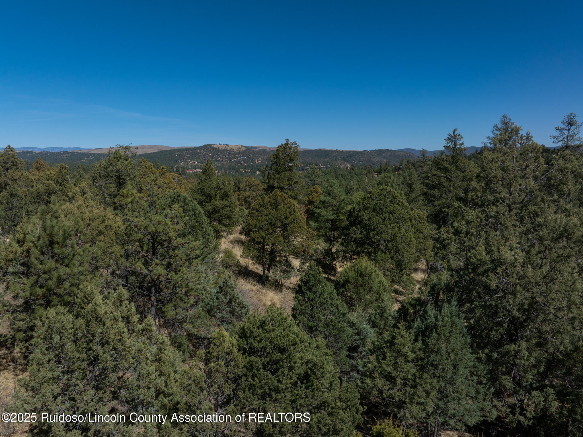 108 Oak Grove Place, Ruidoso, New Mexico image 12