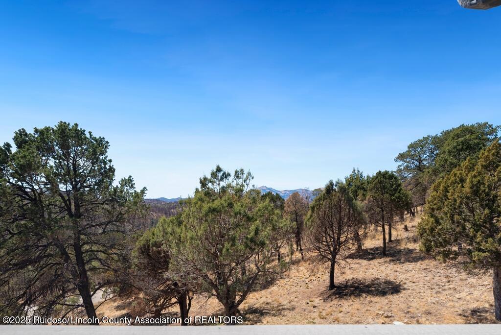 329 Lake Shore Drive, Alto, New Mexico image 27