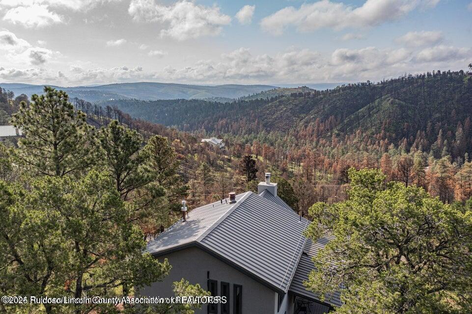 329 Lake Shore Drive, Alto, New Mexico image 3