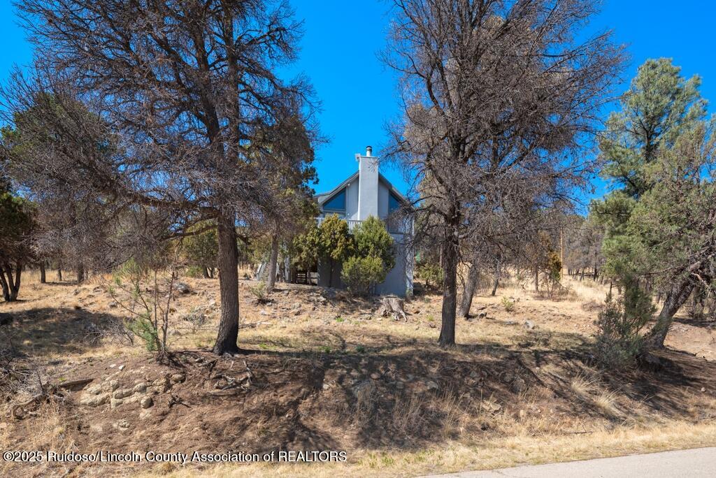 329 Lake Shore Drive, Alto, New Mexico image 31
