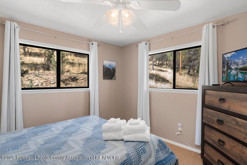 329 Lake Shore Drive, Alto, New Mexico image 19