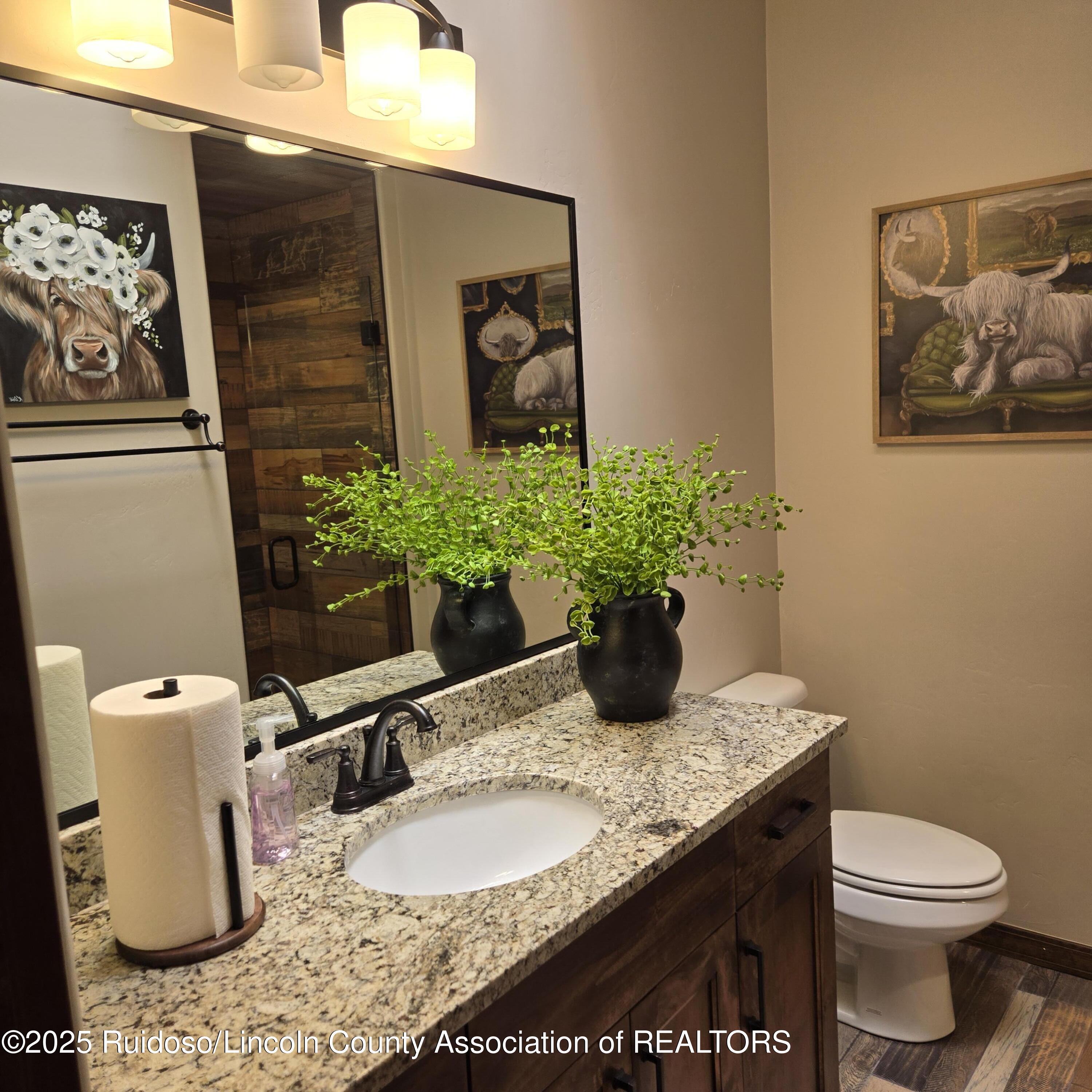 1246 High Mesa Drive, Alto, New Mexico image 16