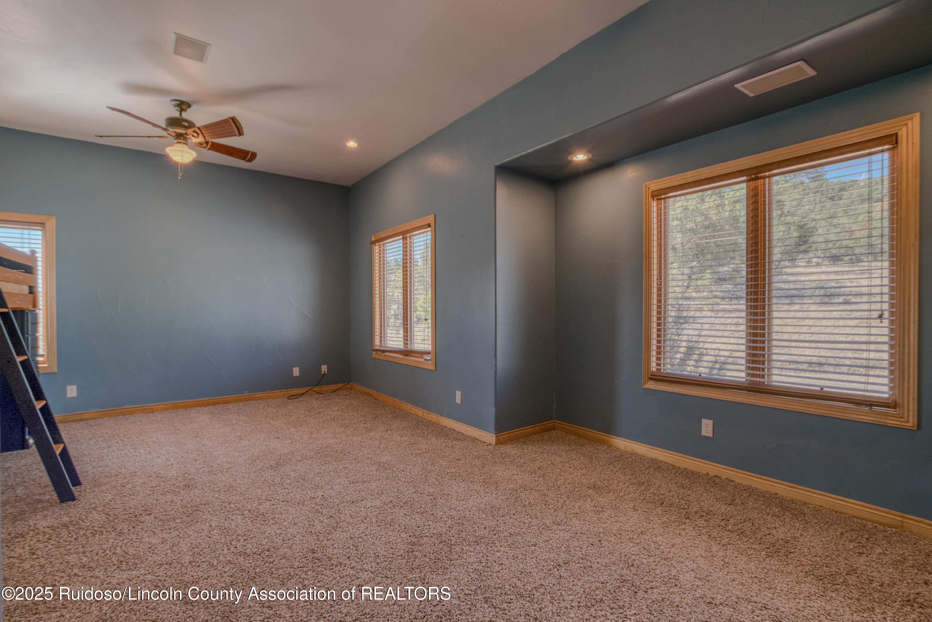 239 Sonterra Drive, Alto, New Mexico image 25