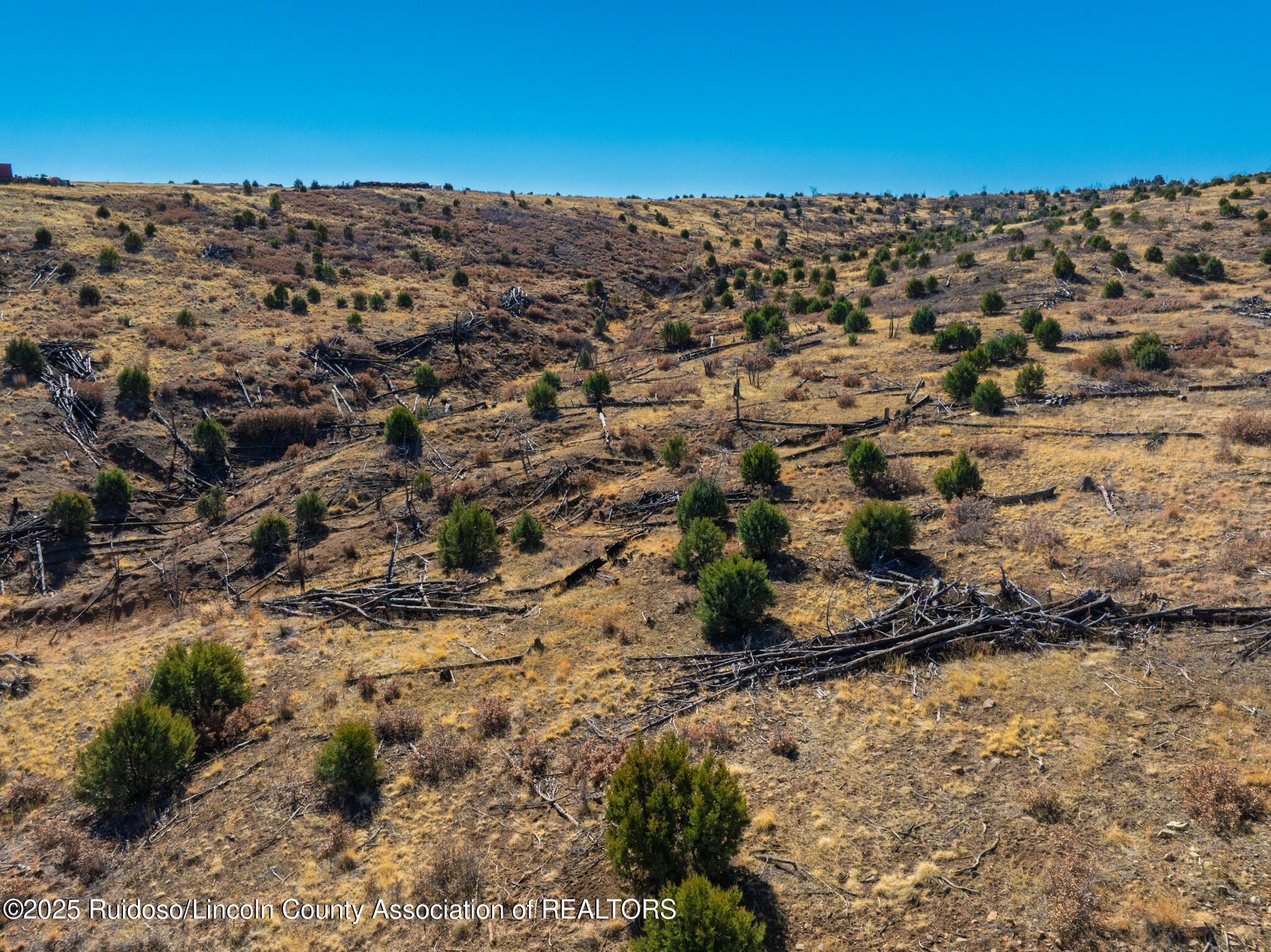 141 Mountain Haven Trail, Capitan, New Mexico image 19
