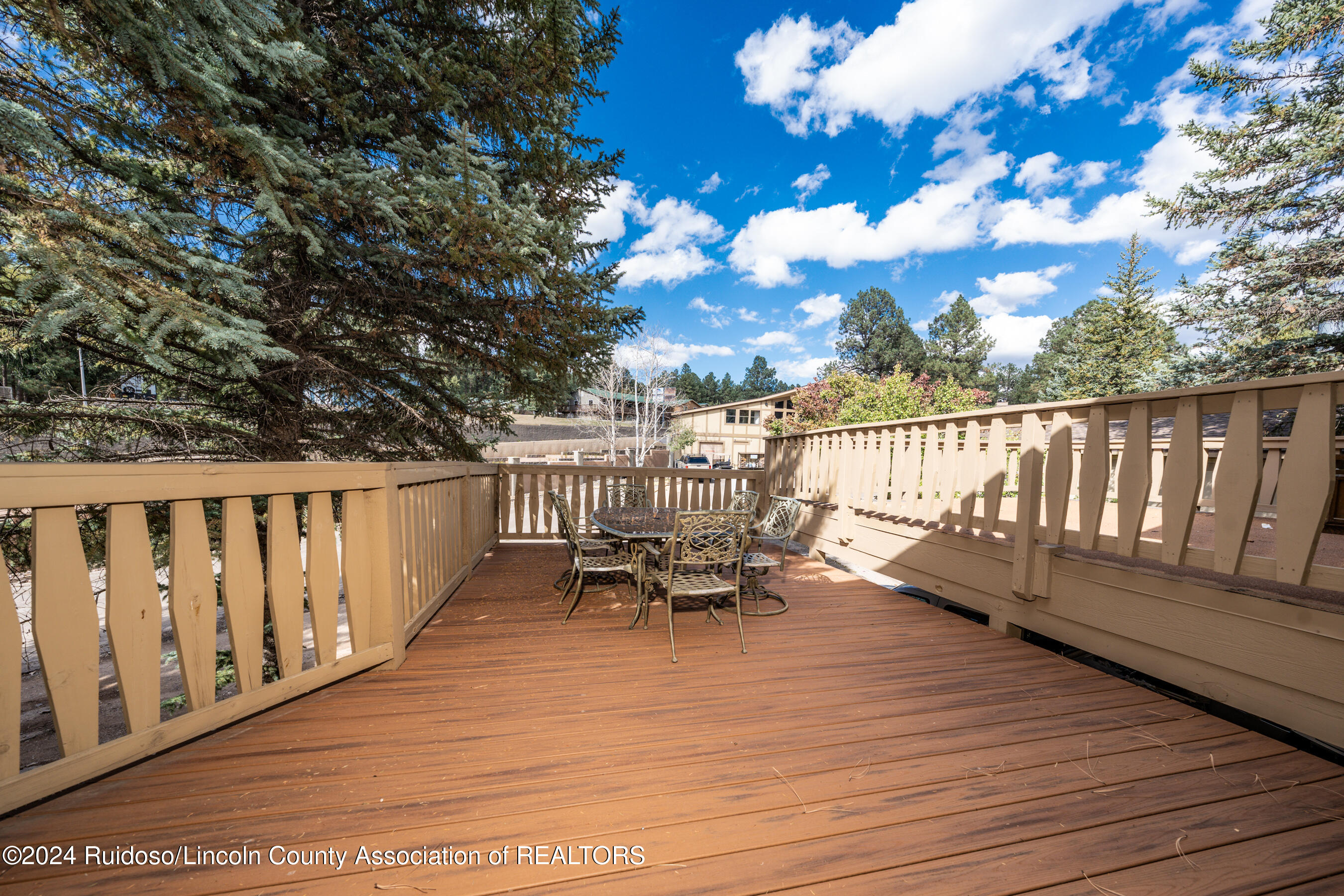 73 Geneva Drive, Ruidoso, New Mexico image 20