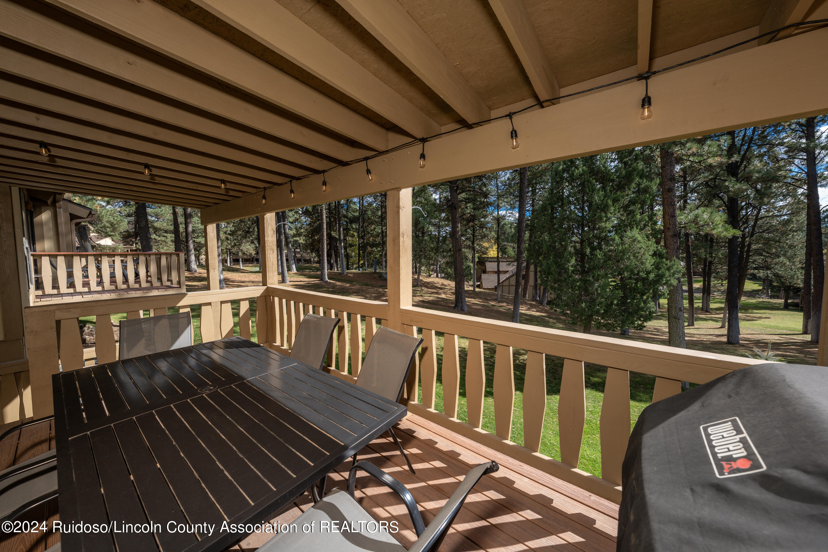 73 Geneva Drive, Ruidoso, New Mexico image 13