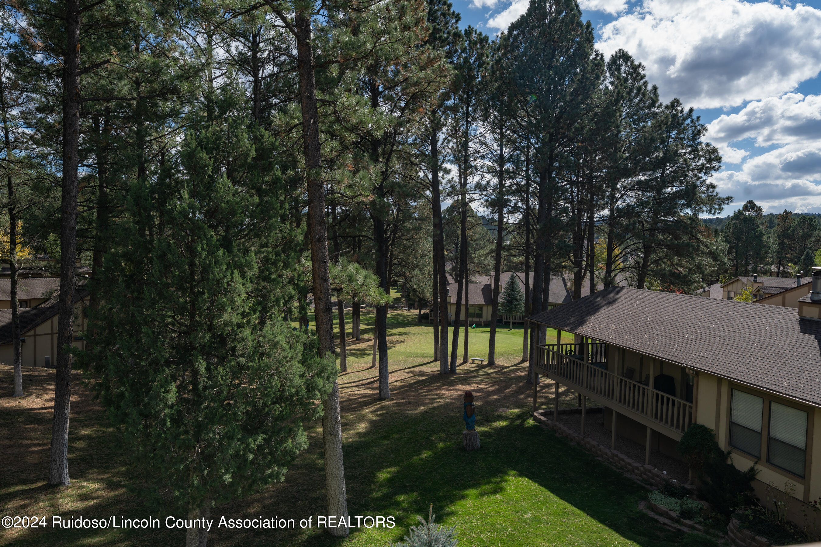 73 Geneva Drive, Ruidoso, New Mexico image 25