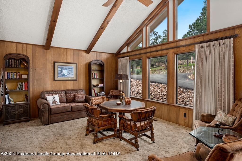 120 Mcbride Drive, Ruidoso, New Mexico image 3