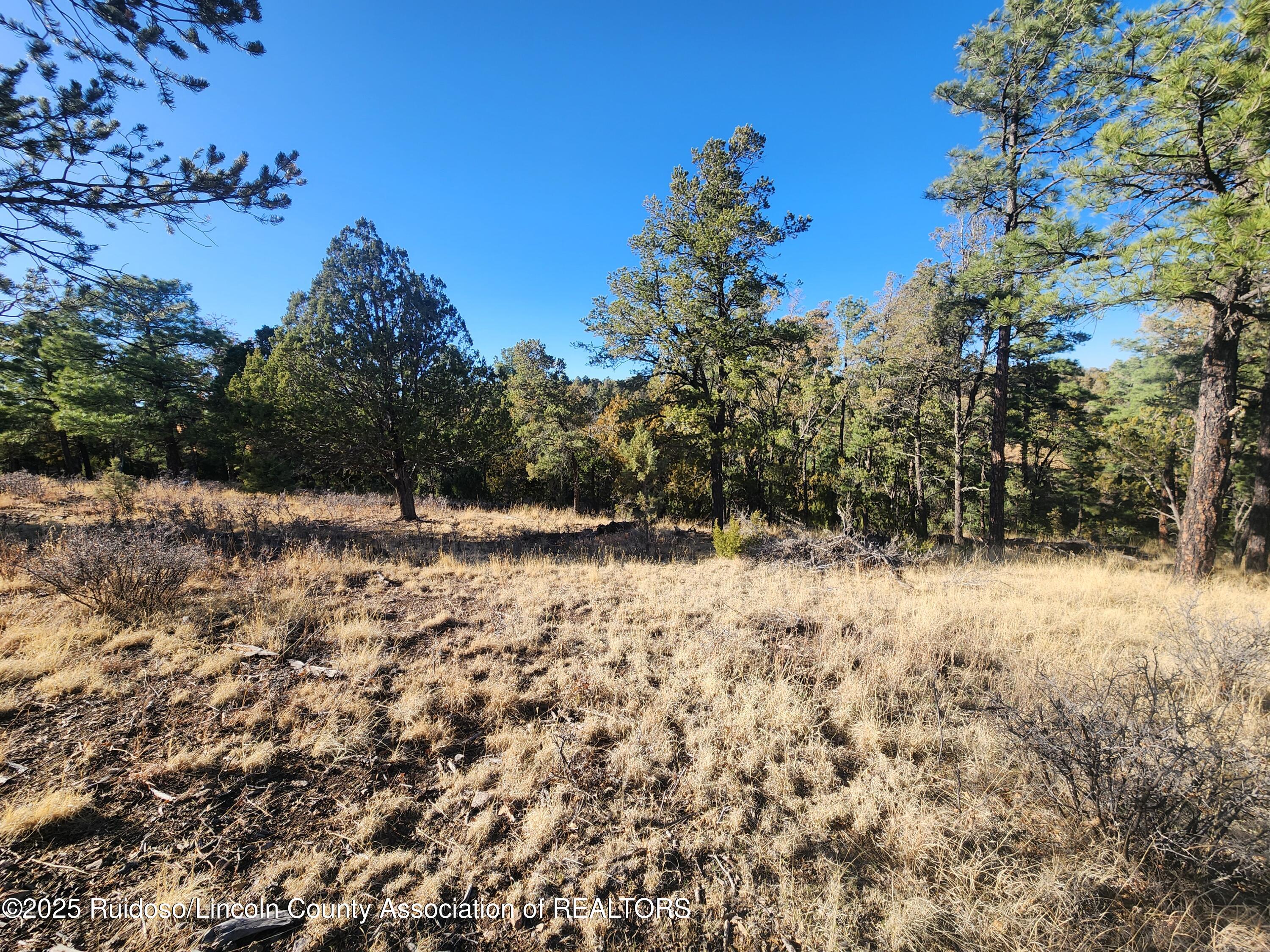 50B Bobby Jones Court, Alto, New Mexico image 1