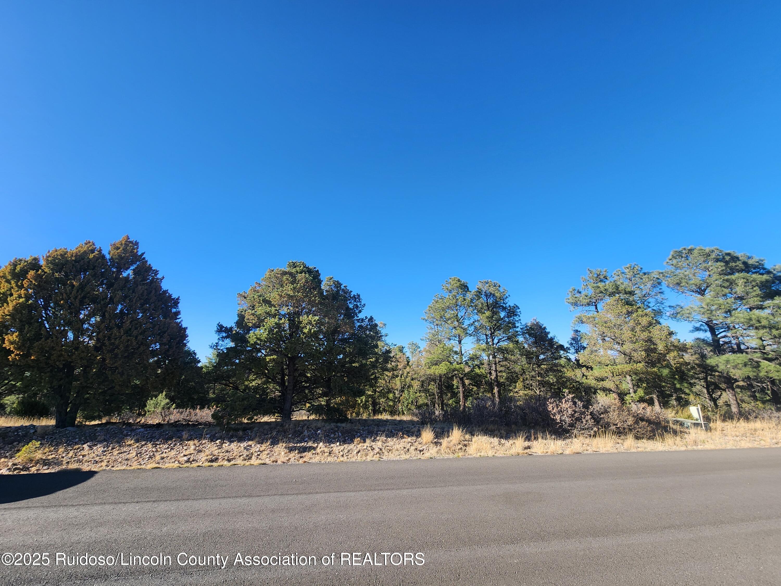 50B Bobby Jones Court, Alto, New Mexico image 13