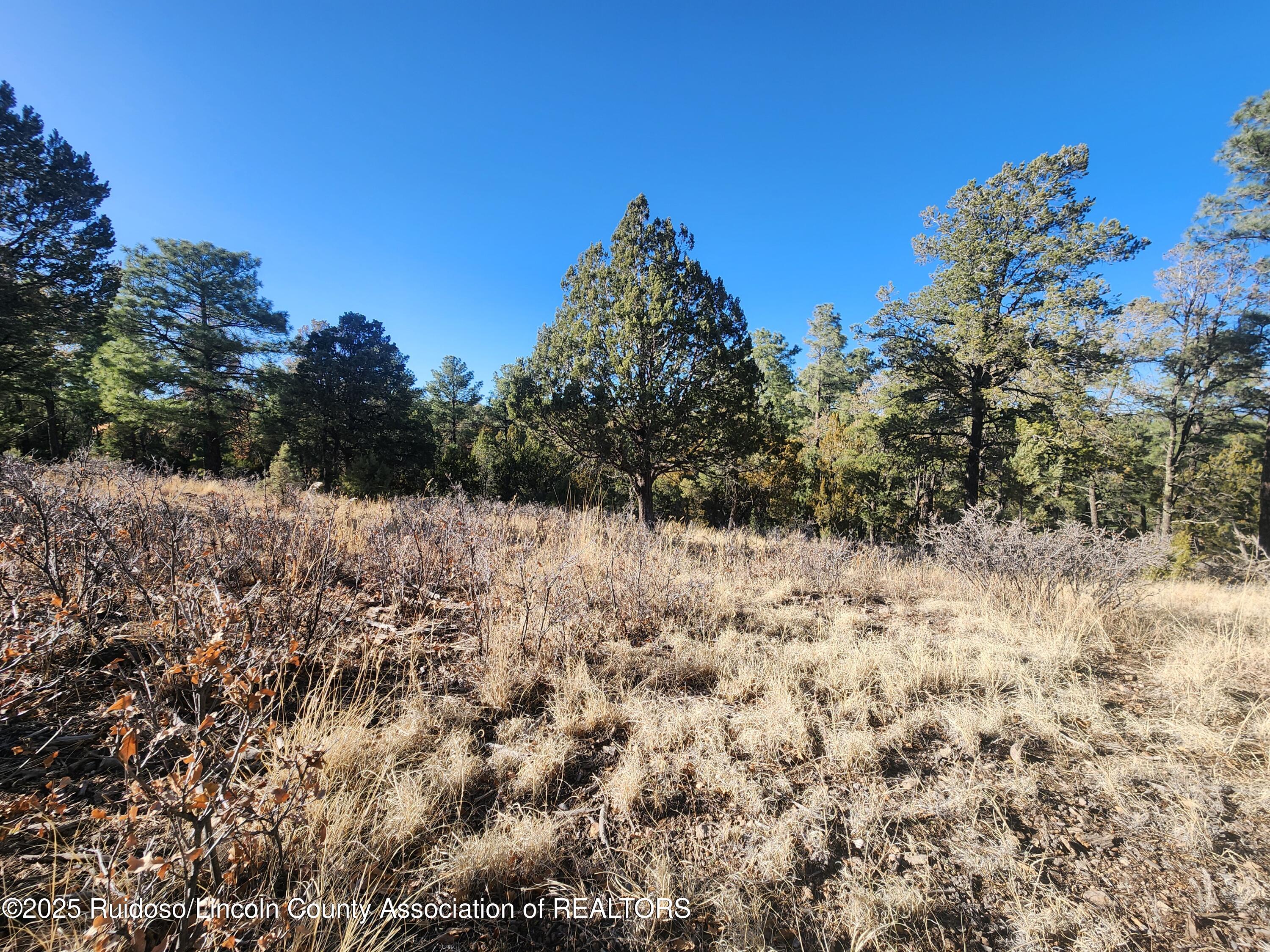 50B Bobby Jones Court, Alto, New Mexico image 6