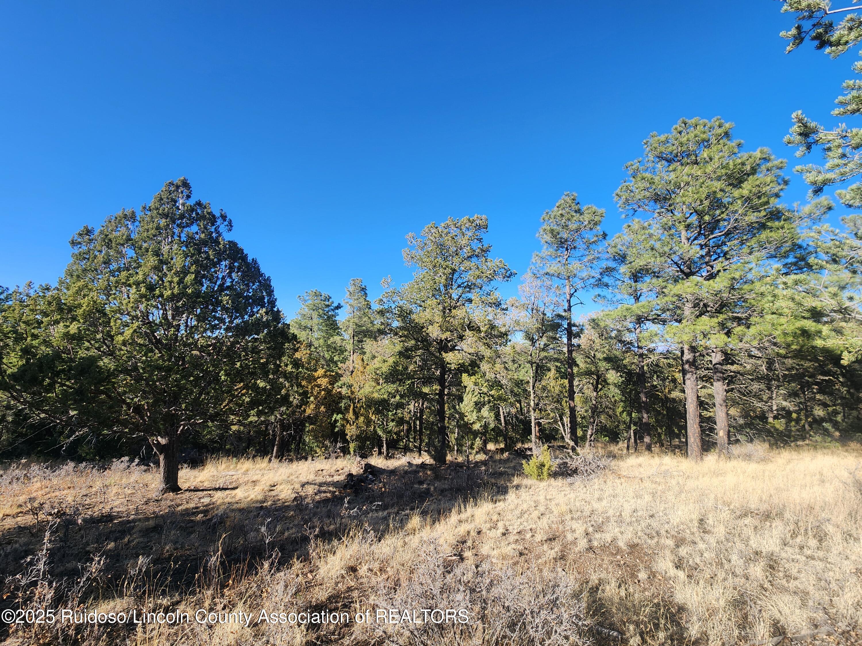 50B Bobby Jones Court, Alto, New Mexico image 2