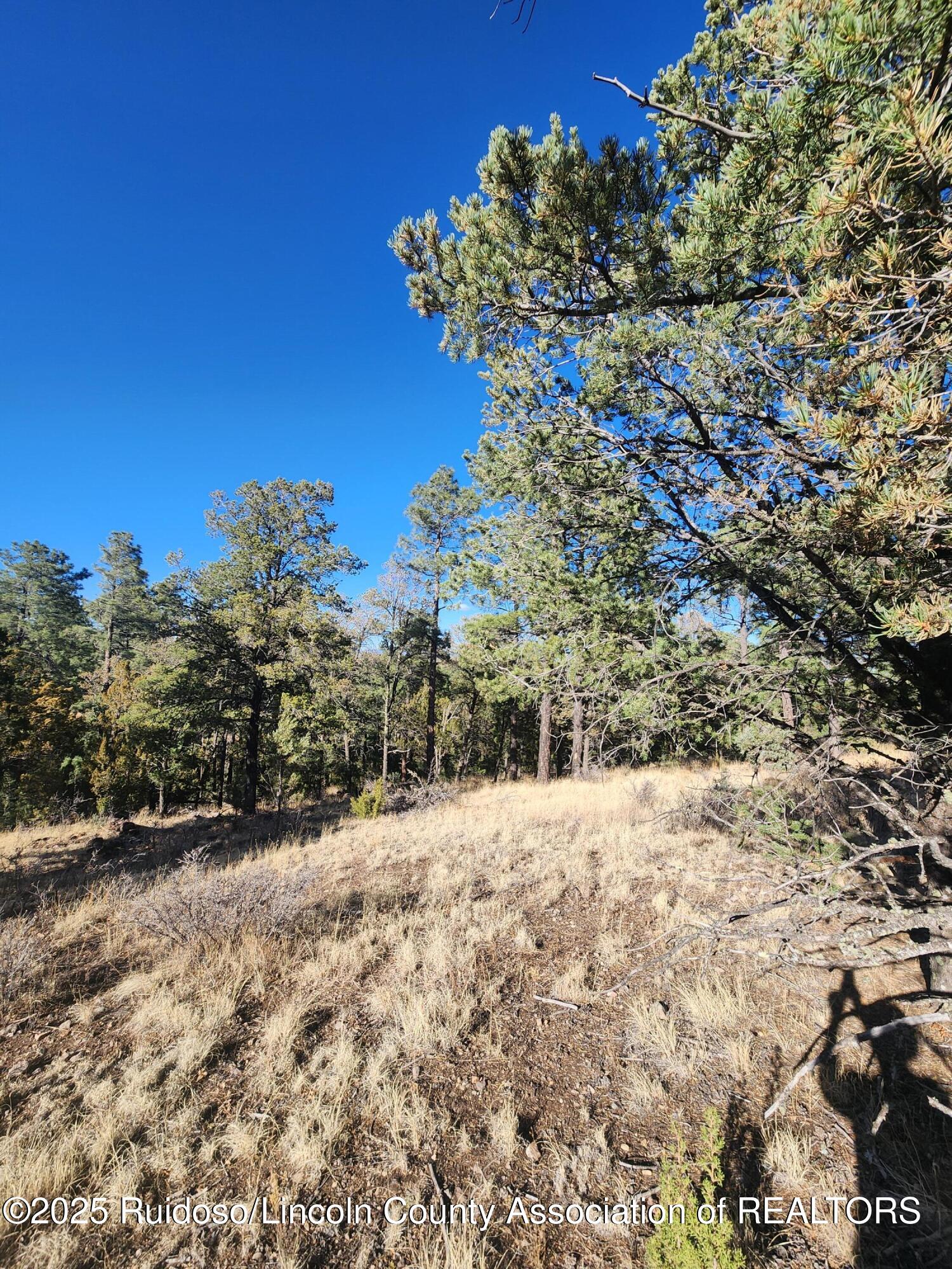 50B Bobby Jones Court, Alto, New Mexico image 3