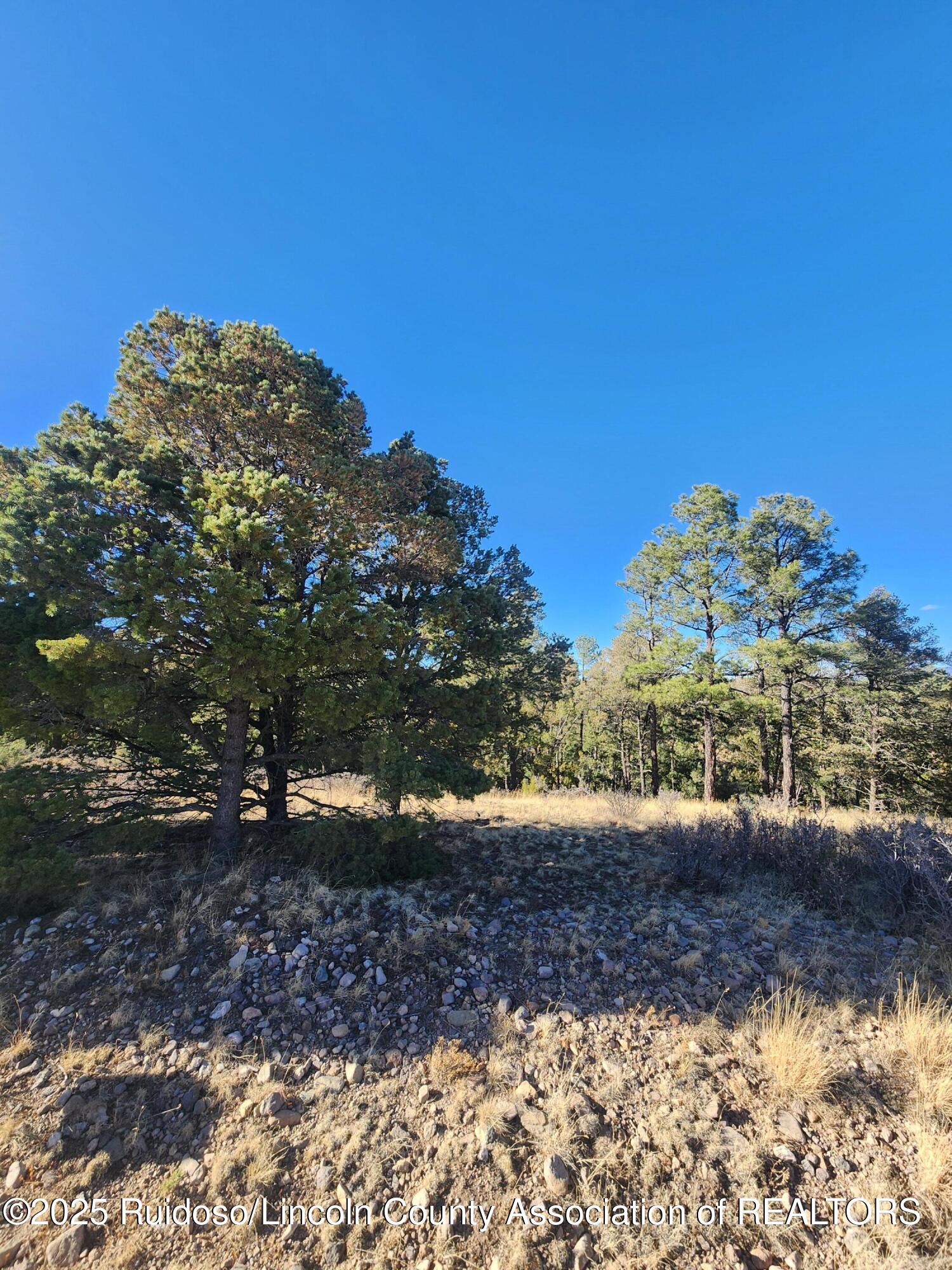 50B Bobby Jones Court, Alto, New Mexico image 8