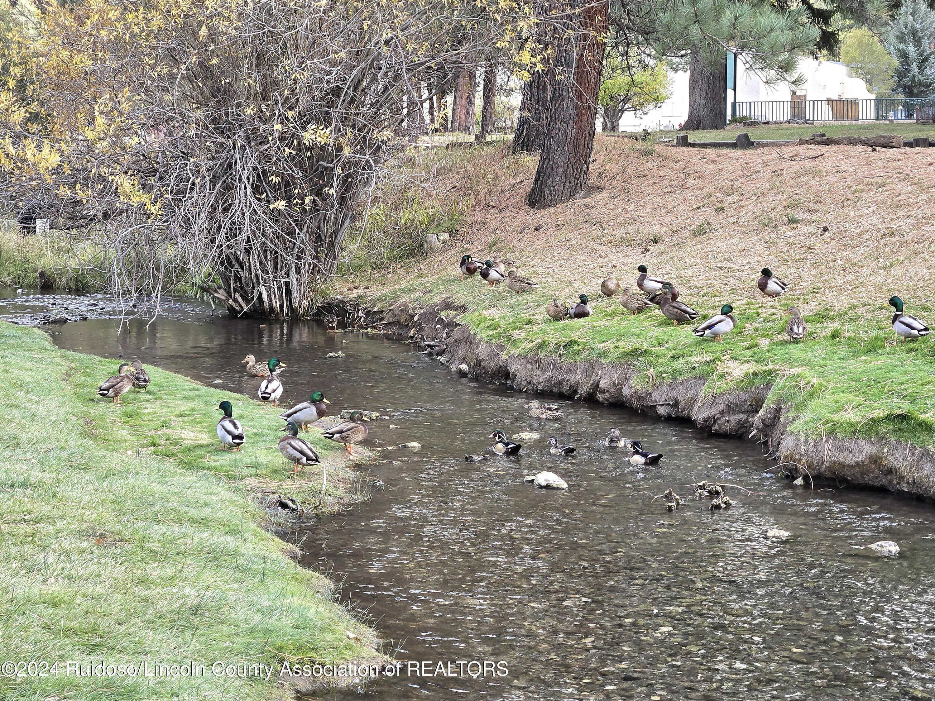 904 Carrizo Canyon Road #232, Ruidoso, New Mexico image 8