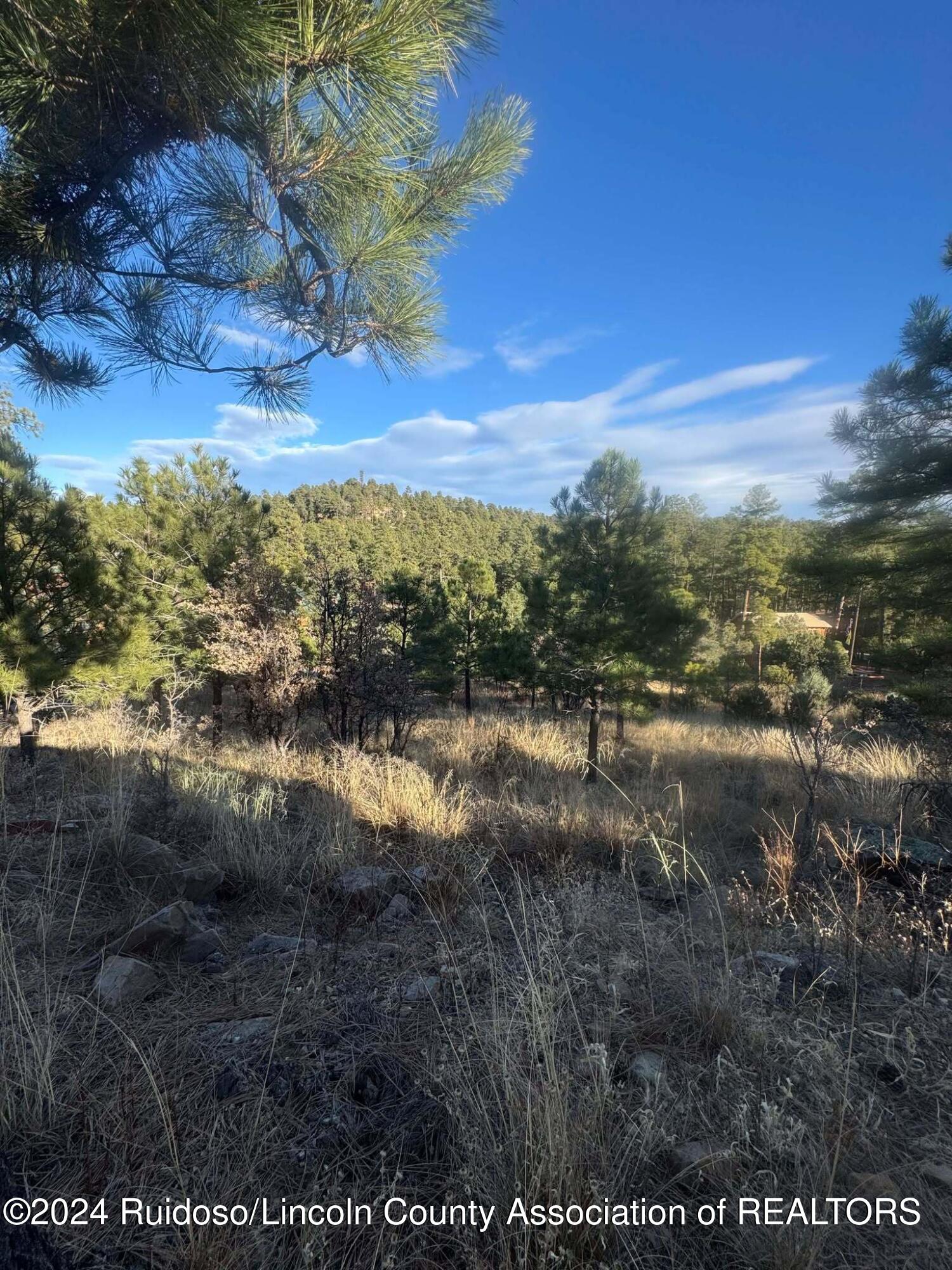 110 Wilshire Road, Ruidoso, New Mexico image 6