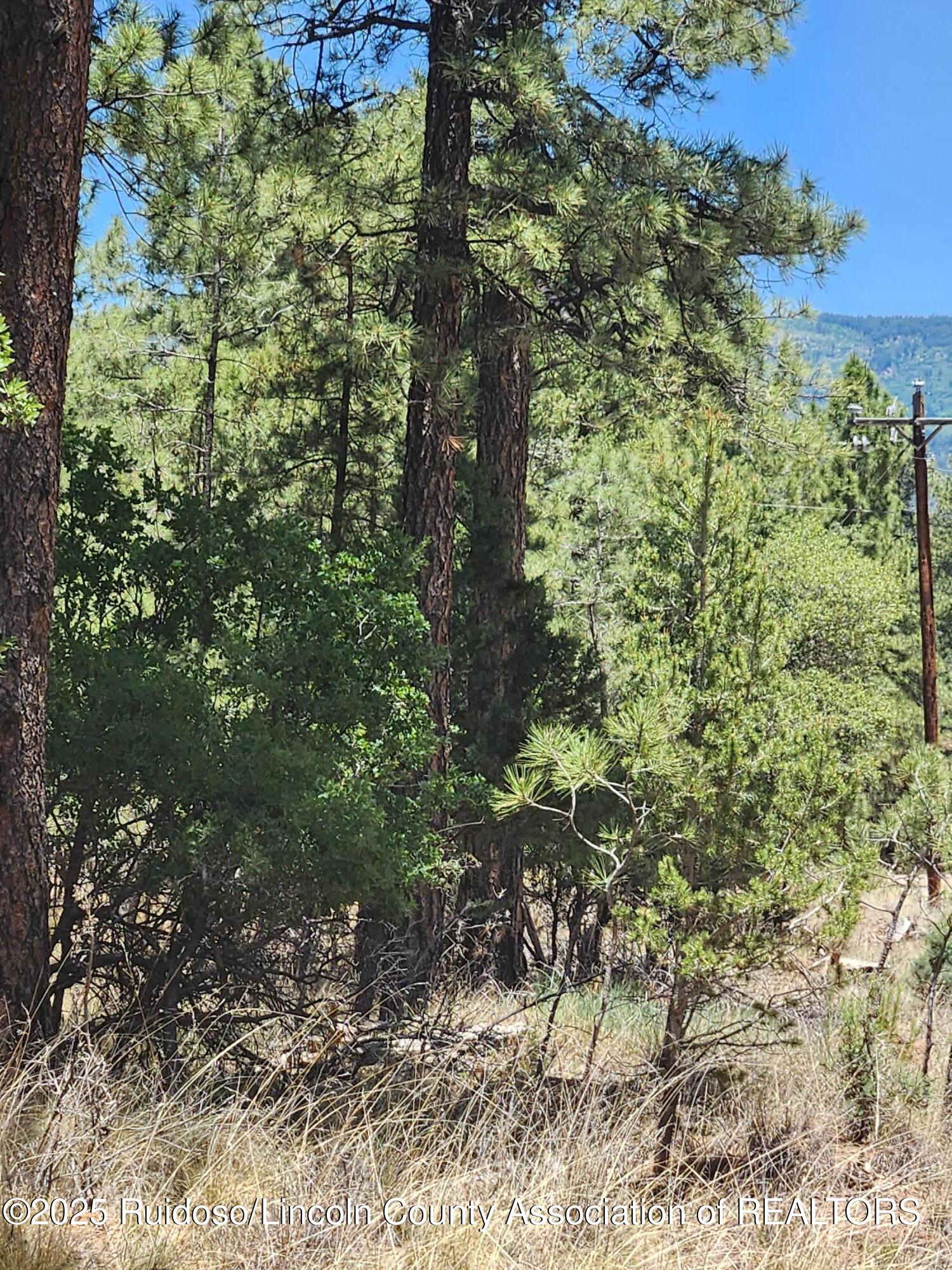 17 Chisholm Trail, Alto, New Mexico image 1