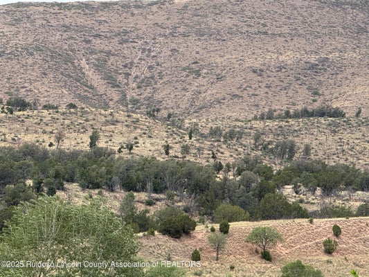 26179 US-70, RUIDOSO DOWNS, NM 88346 - Image dbb64e93f62532247f1f896cf2b5f22f/2823141501