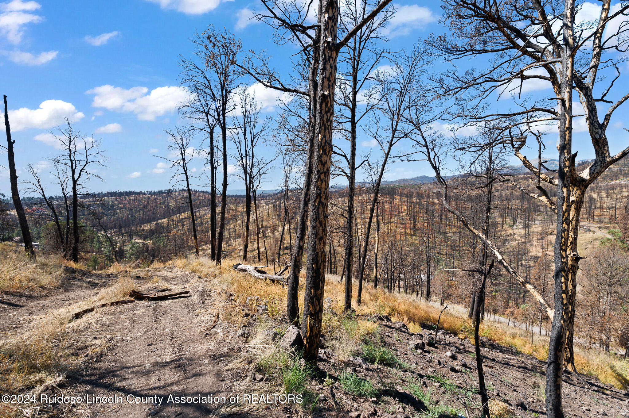 210 Sandia Road, Ruidoso, New Mexico image 12