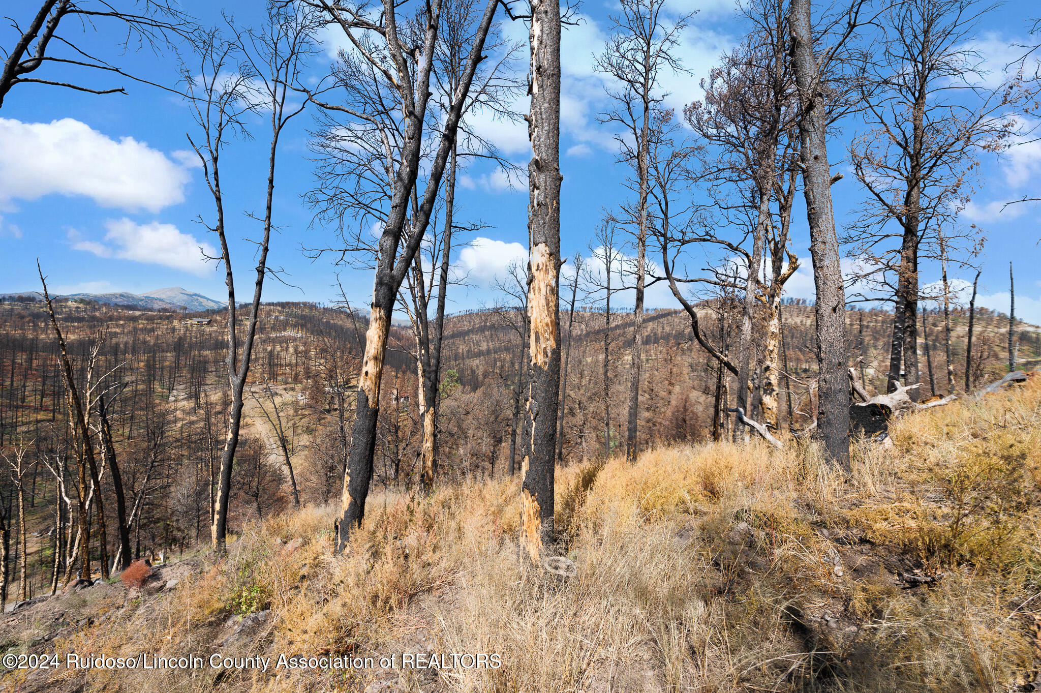 210 Sandia Road, Ruidoso, New Mexico image 11