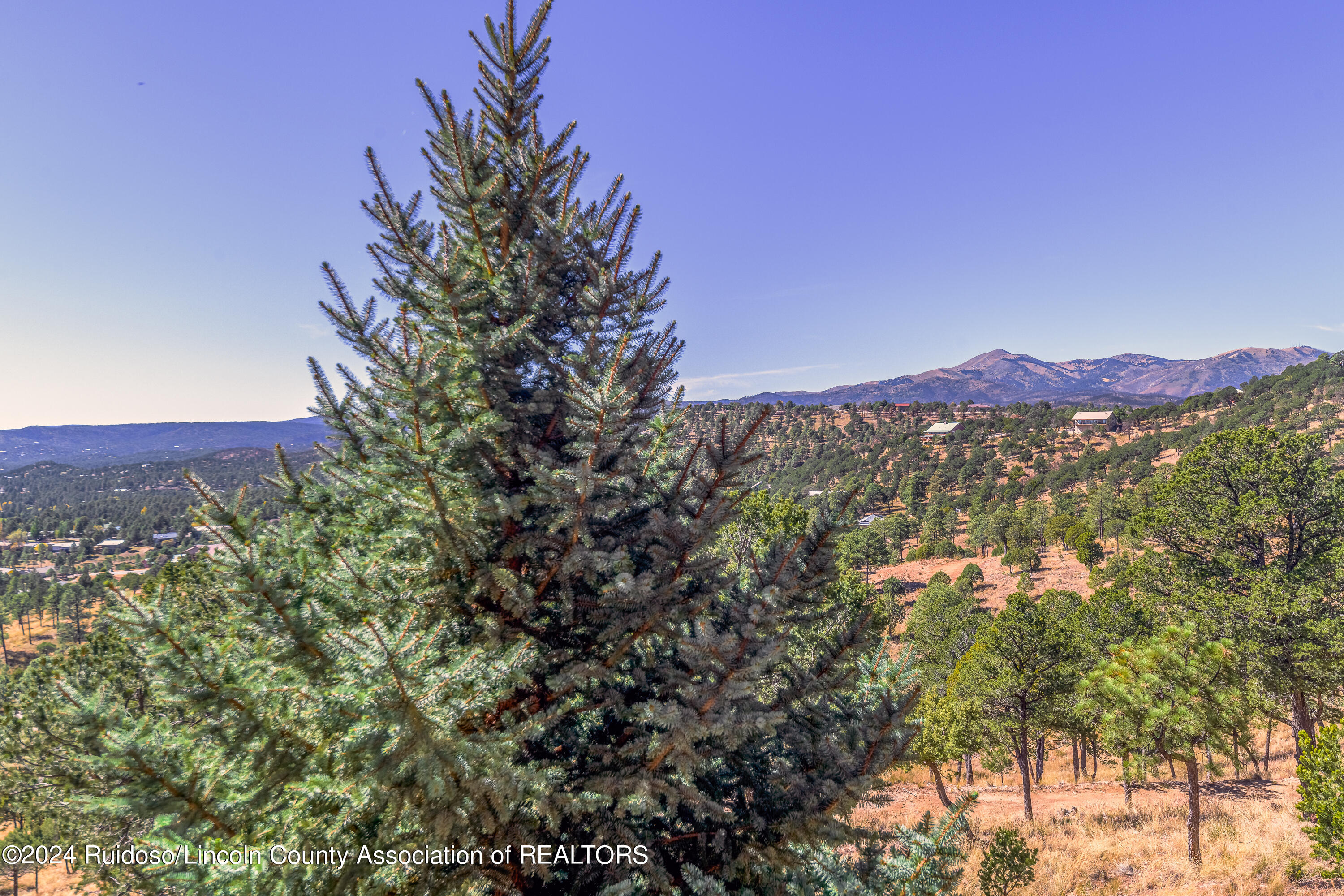 125 Topside Drive, Ruidoso, New Mexico image 47