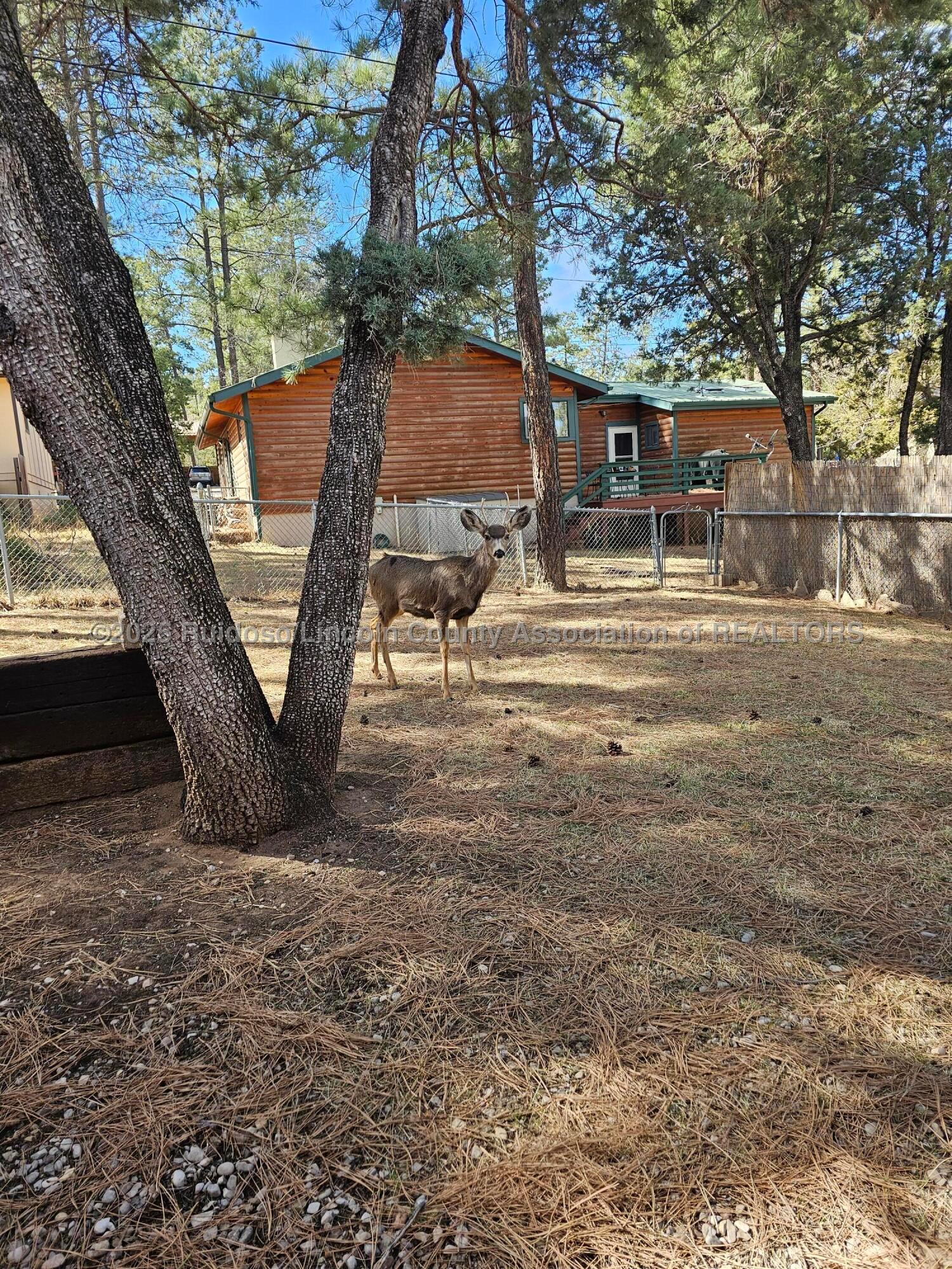 110 Clover Drive, Ruidoso, New Mexico image 32