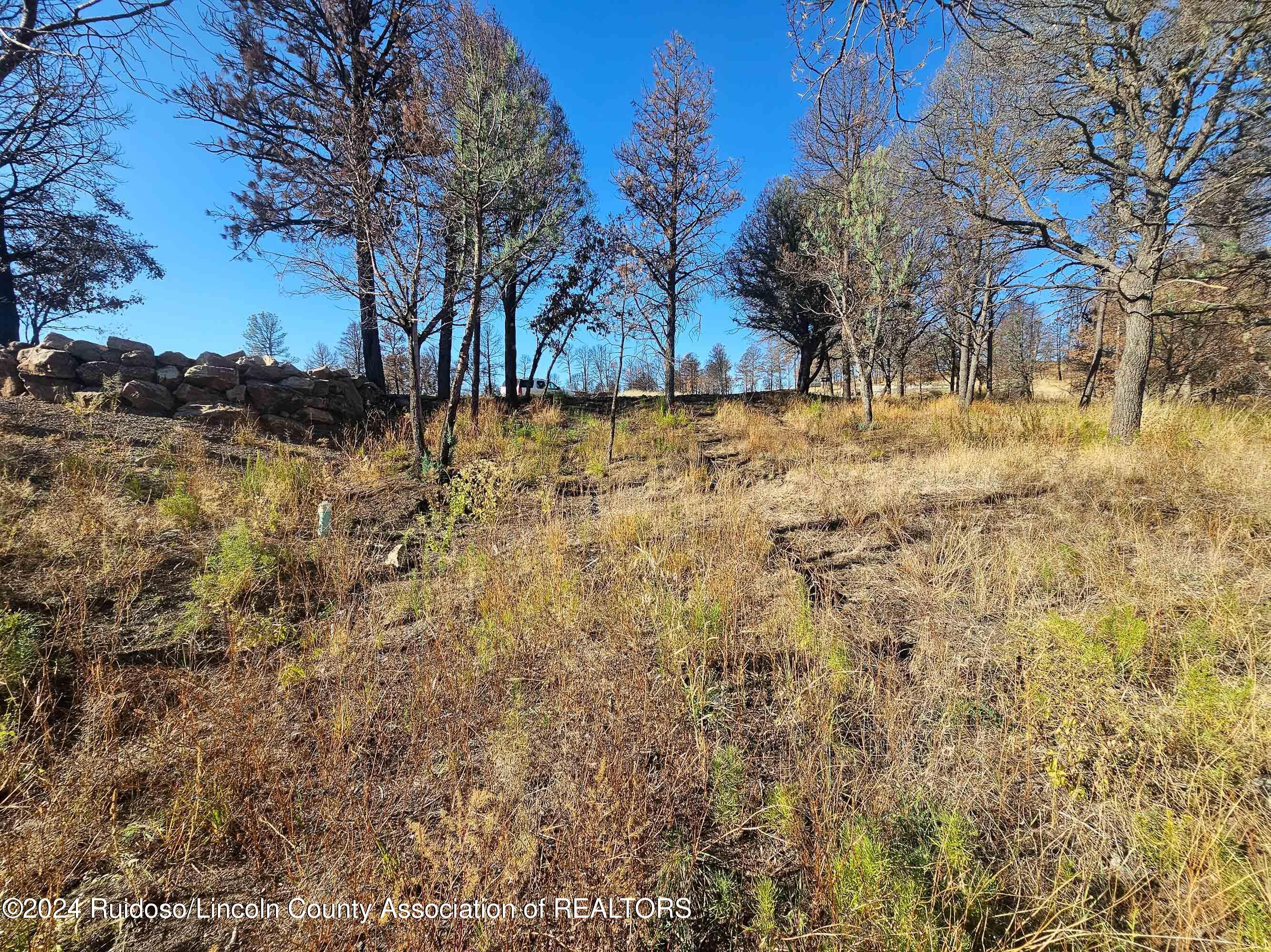 108 Plumas Place, Ruidoso, New Mexico image 8