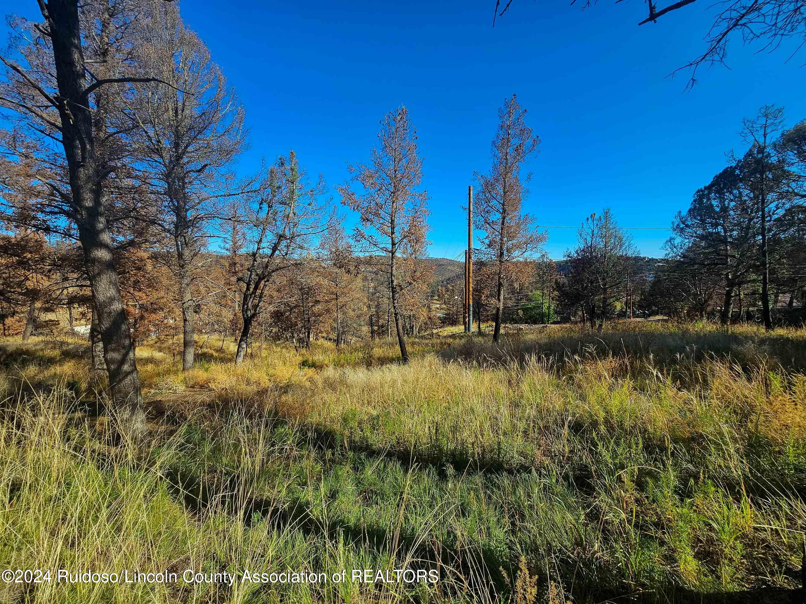 108 Plumas Place, Ruidoso, New Mexico image 1